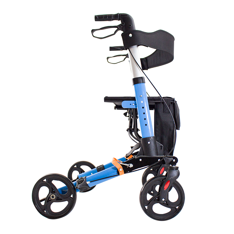 Rollator Walker Sample Evaluation